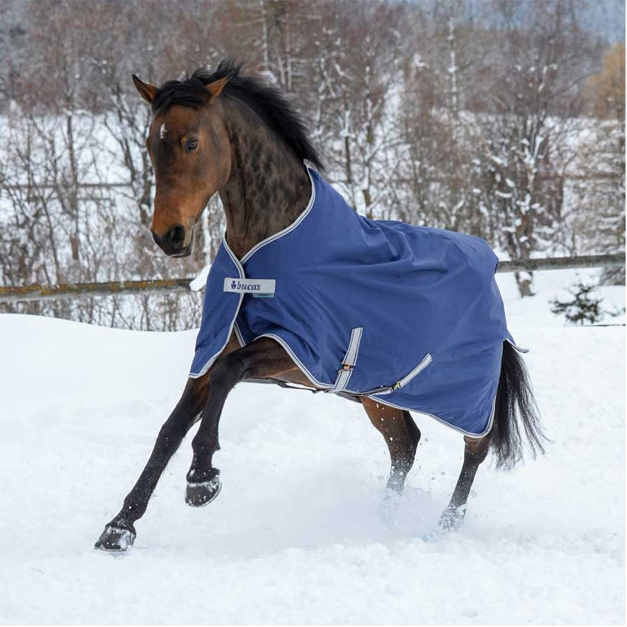 Vintertäcke Pony Freedom Turnout 150g Marinblå