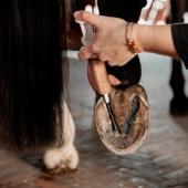 Hovsalva Equi Hoof Zinc Paste 60ml Hovsalva Equi Hoof Zinc Paste 60ml