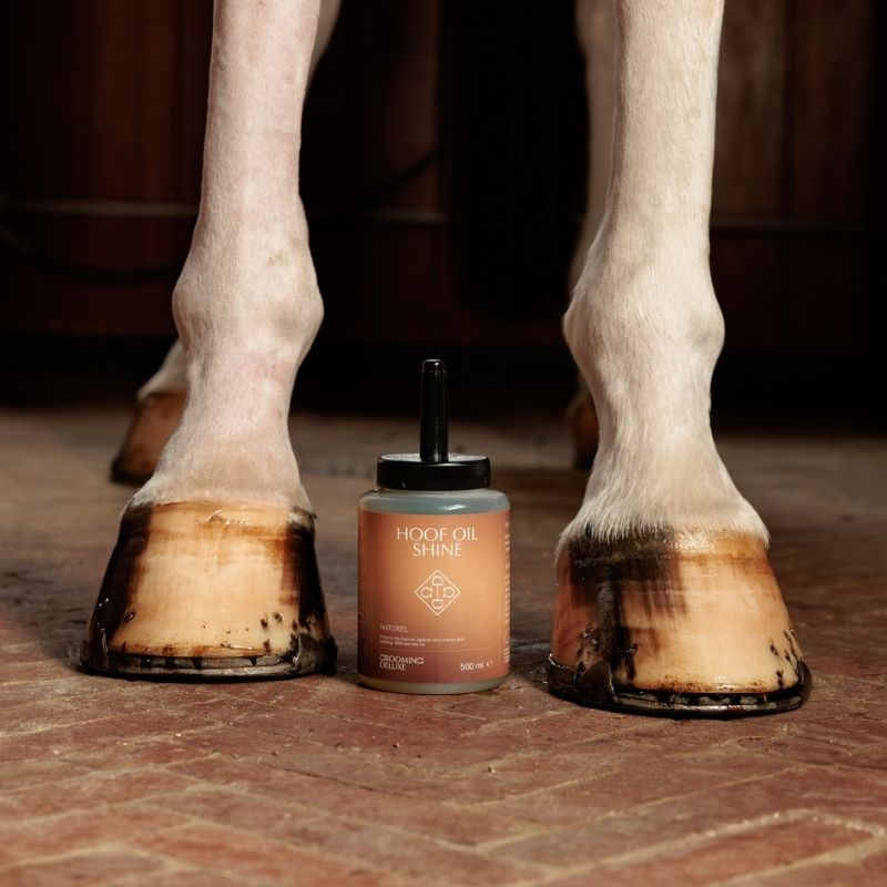 Hovolja Shine Natural 500ml