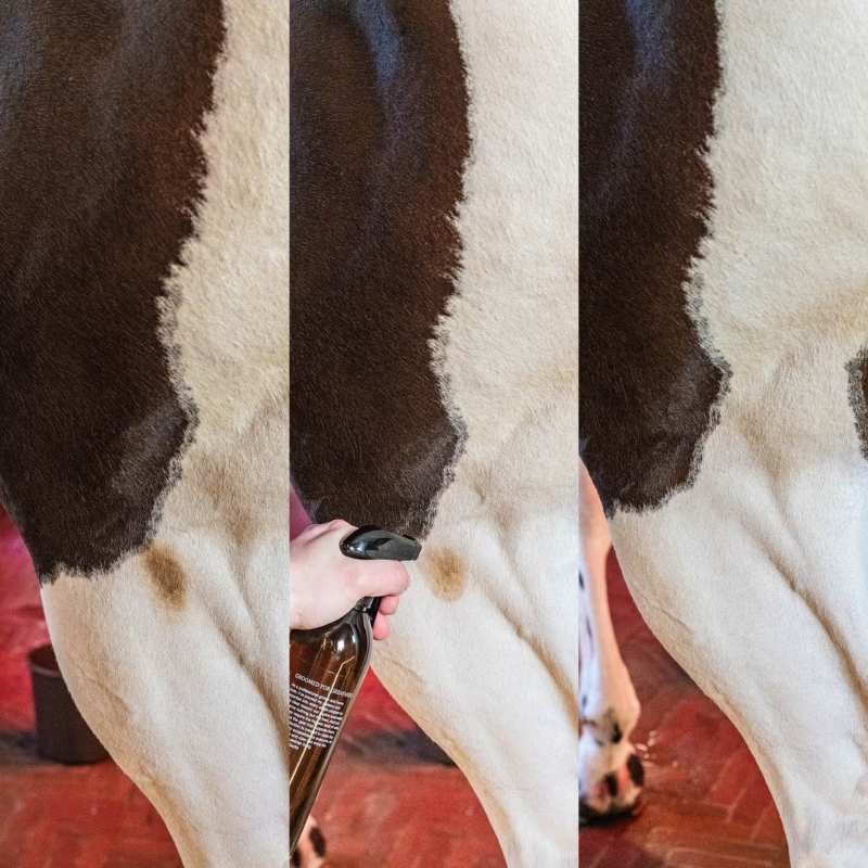 Torrschampo Green Spot & Dust Remover Almond 500ml