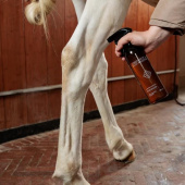 Torrschampo Green Spot & Dust Remover Almond 500ml Torrschampo Green Spot & Dust Remover Almond 500ml