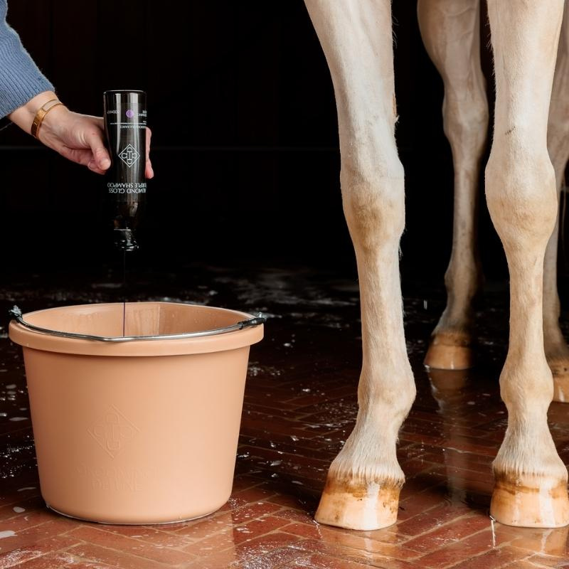 Skimmelschampo Almond Gloss Purple 500ml