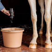 Skimmelschampo Almond Gloss Purple 500ml Skimmelschampo Almond Gloss Purple 500ml