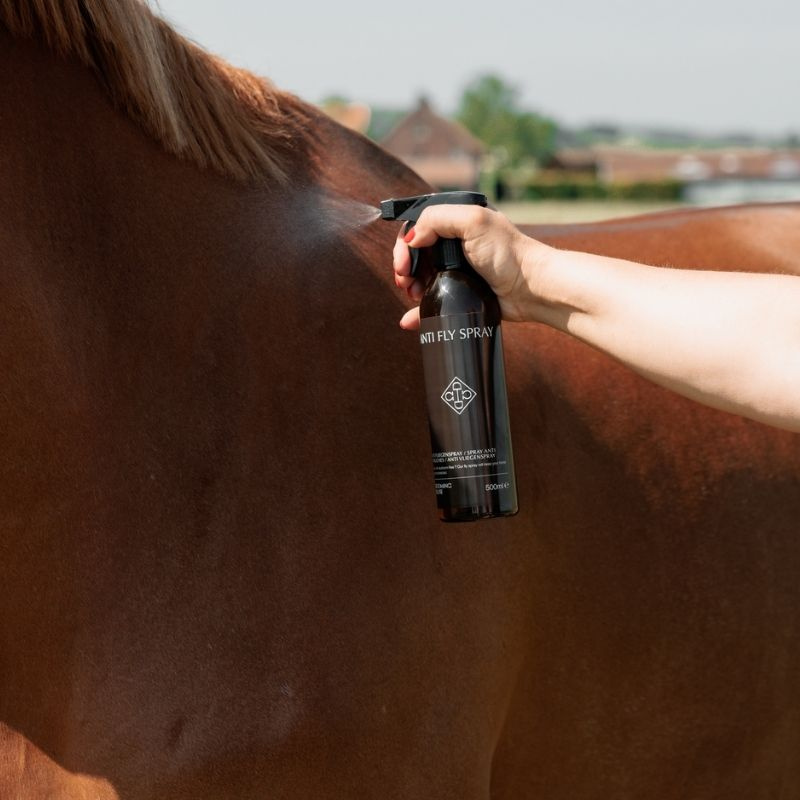 Flugspray Anti Fly Spray 500ml