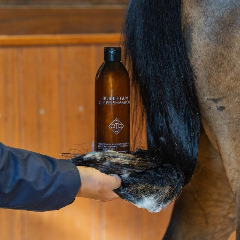 Schampo Bubble Gum Gloss 500ml