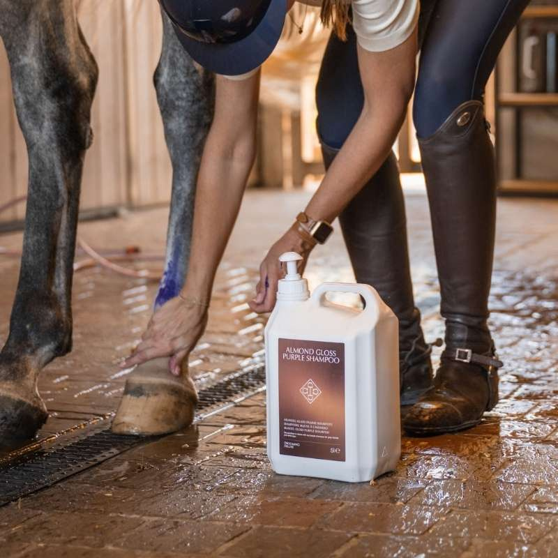 Skimmelschampo Almond Gloss Purple 5L