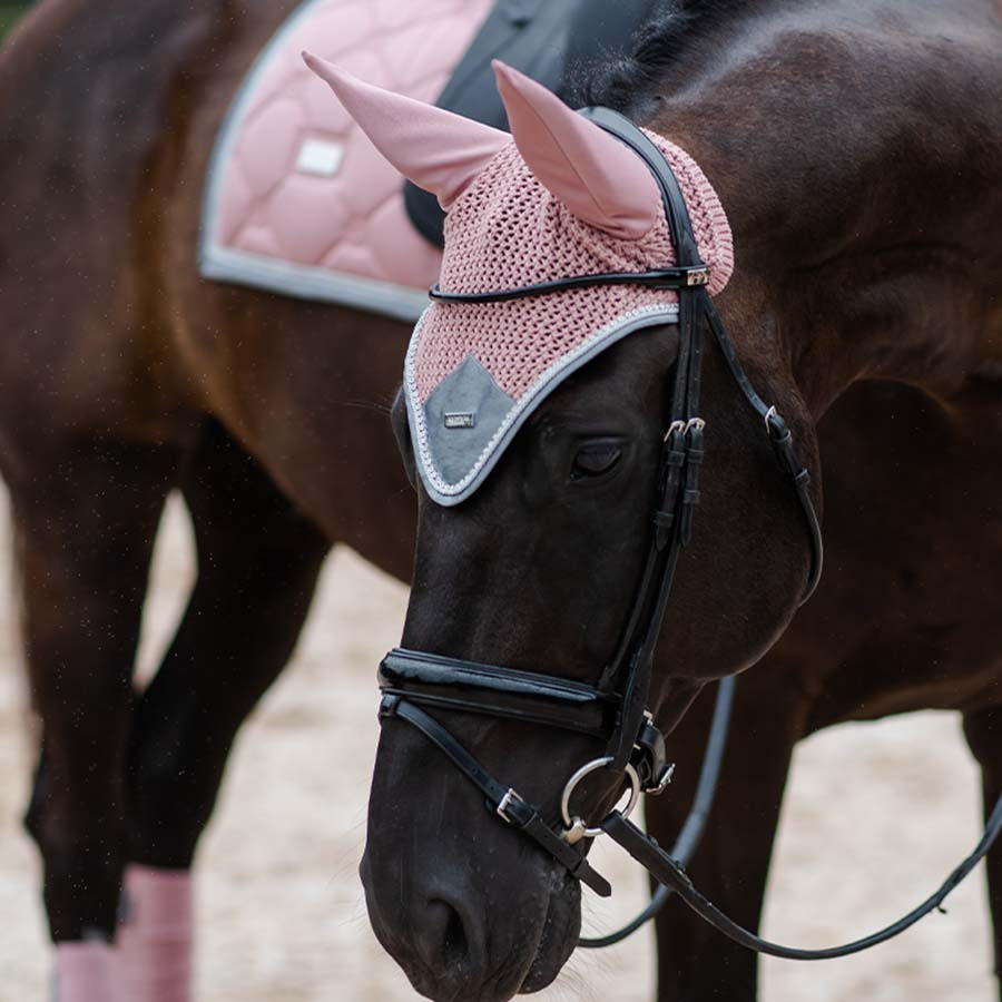 Dressyrschabrak ES Pink Pearl