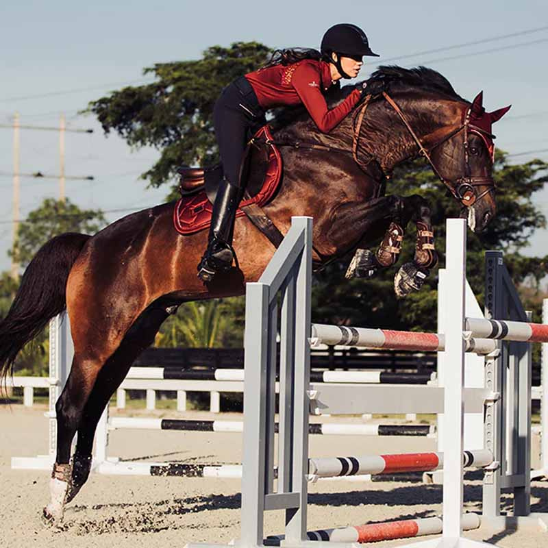 Schabrak ES Bordeaux