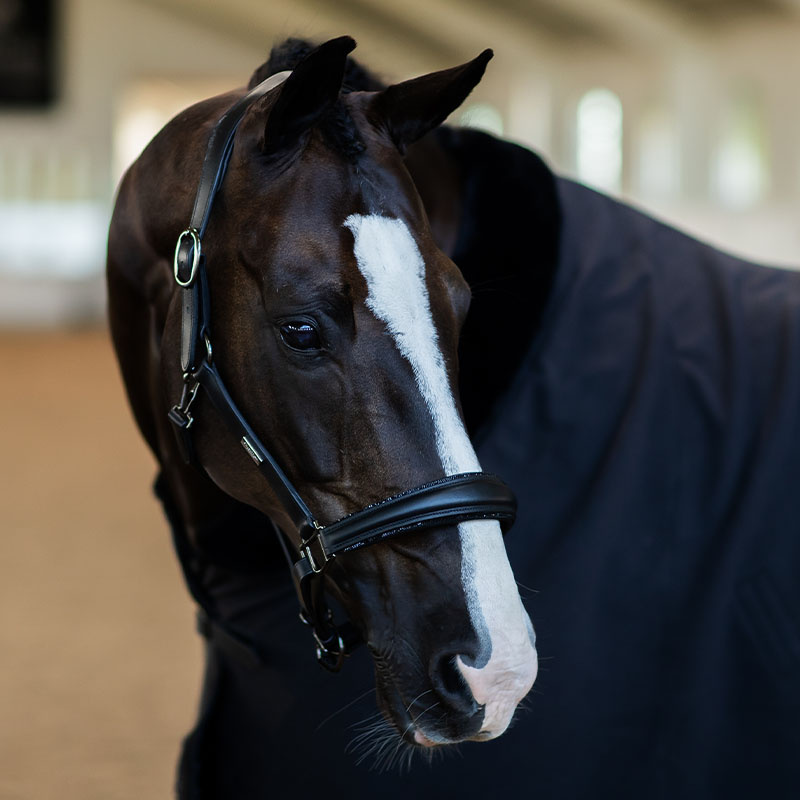 Anatomisk Lädergrimma ES Glimmer Black Edition