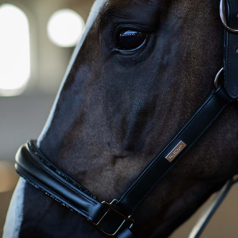 Anatomisk Lädergrimma ES Glimmer Black Edition