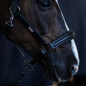 Anatomisk Lädergrimma ES Glimmer Black Edition Anatomisk Lädergrimma ES Glimmer Black Edition