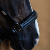 Anatomisk Lädergrimma ES Glimmer Black Edition Anatomisk Lädergrimma ES Glimmer Black Edition