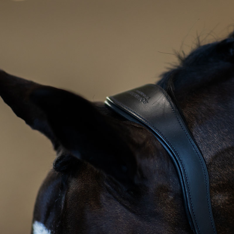 Anatomisk Lädergrimma ES Glimmer Black Edition