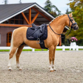 Dressyrschabrak ES Line Black Dressyrschabrak ES Line Black