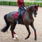 Dressyrschabrak ES Line Bordeaux Dressyrschabrak ES Line Bordeaux