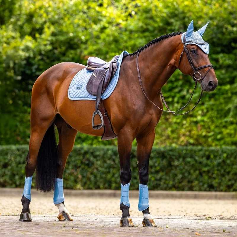 Schabrak ES Modern Midsummer Blue