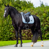 Dressyrschabrak ES Modern Midsummer Blue Dressyrschabrak ES Modern Midsummer Blue