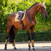 Schabrak ES Modern Midsummer Glow Schabrak ES Modern Midsummer Glow