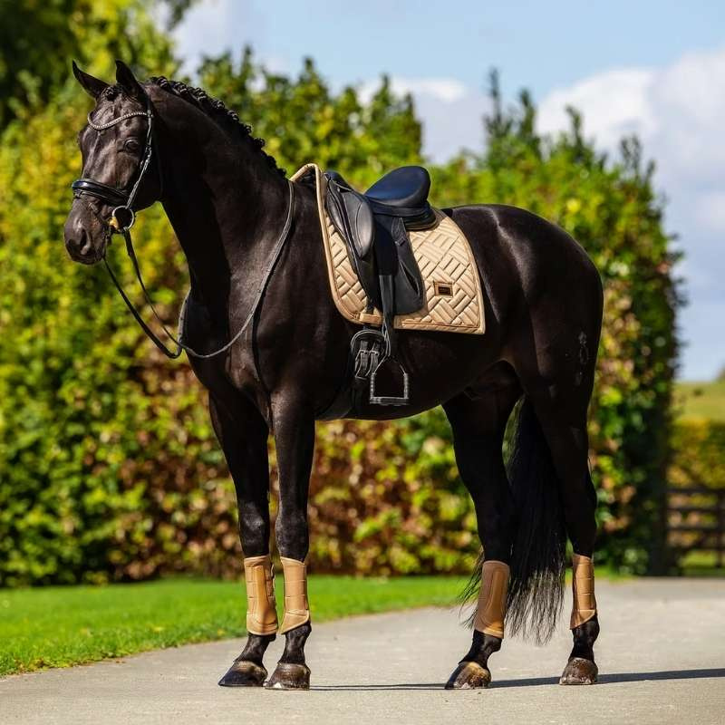 Dressyrschabrak ES Modern Midsummer Glow