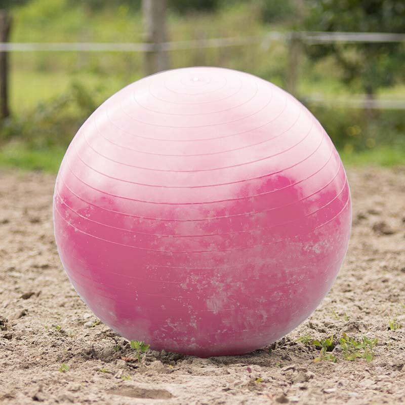 Hästfotboll Rosa