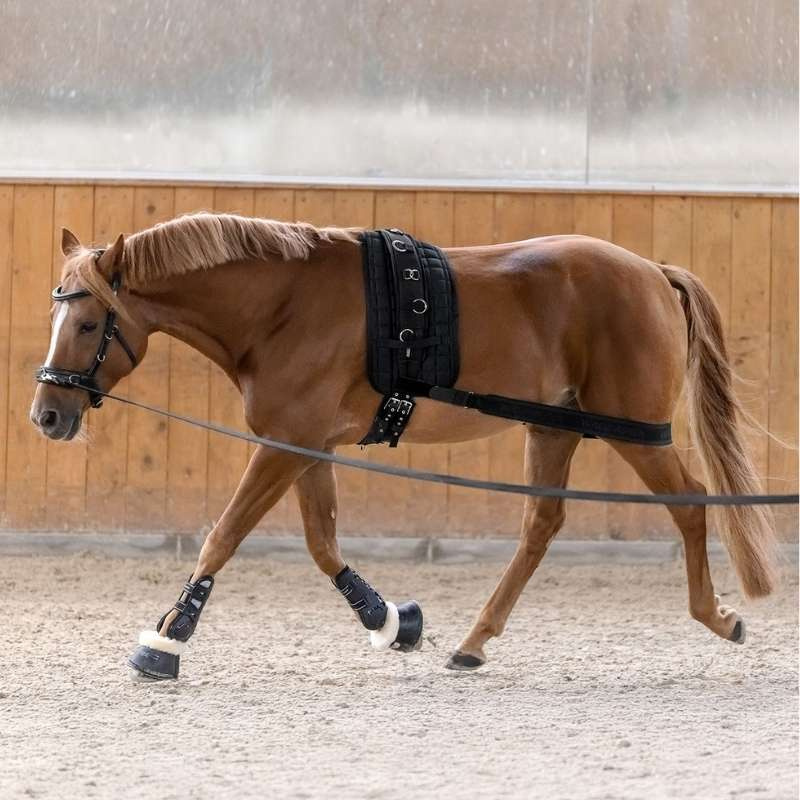 Body Bandage Elastic Svart Cob/Full