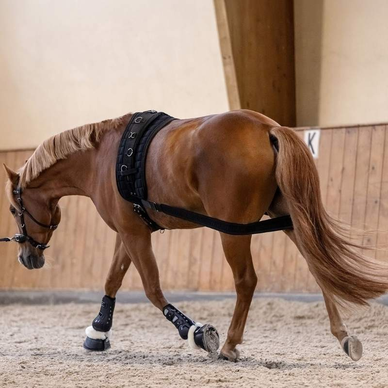 Body Bandage Elastic Svart Cob/Full