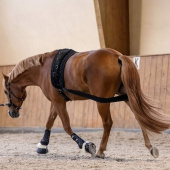 Body Bandage Elastic Svart Cob/Full Body Bandage Elastic Svart Cob/Full