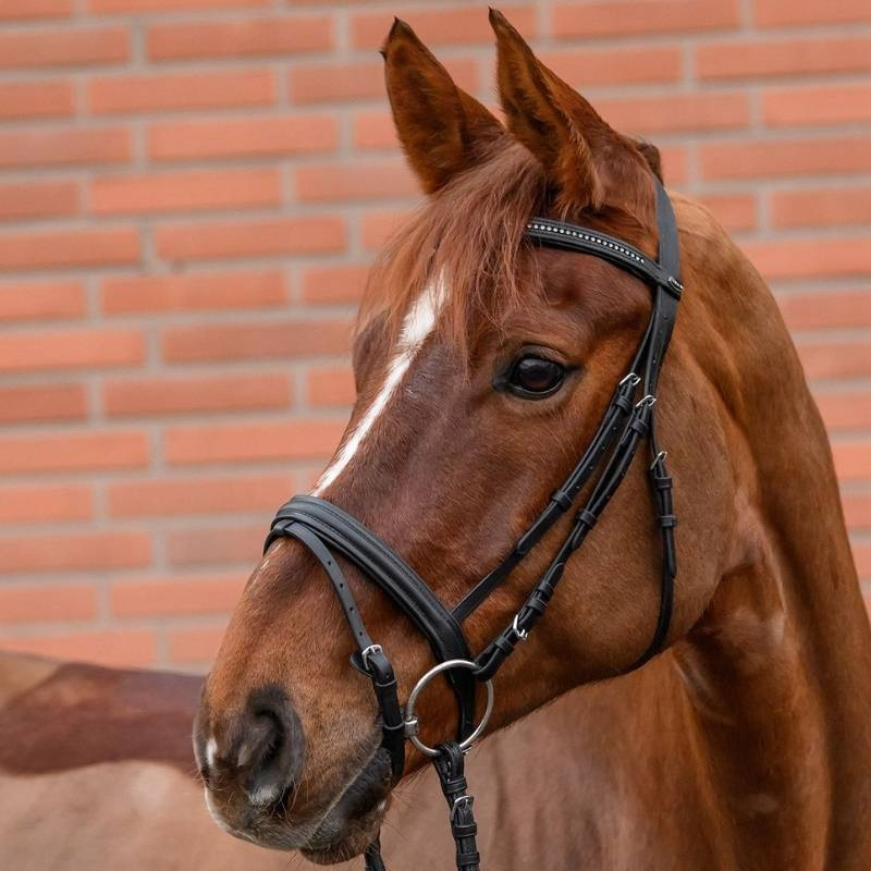 Träns Diamond Svart