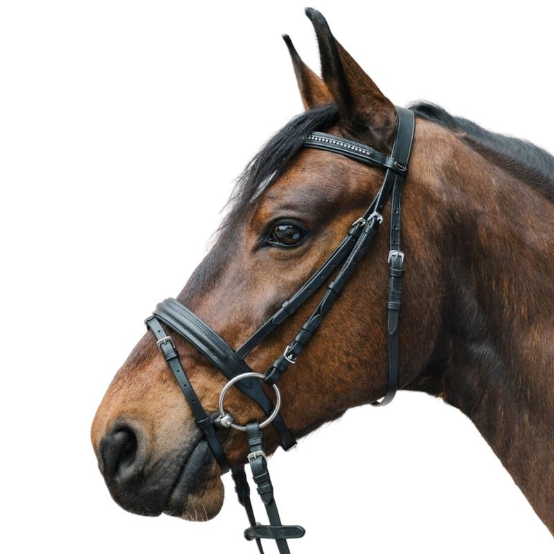 Träns Diamond Svart