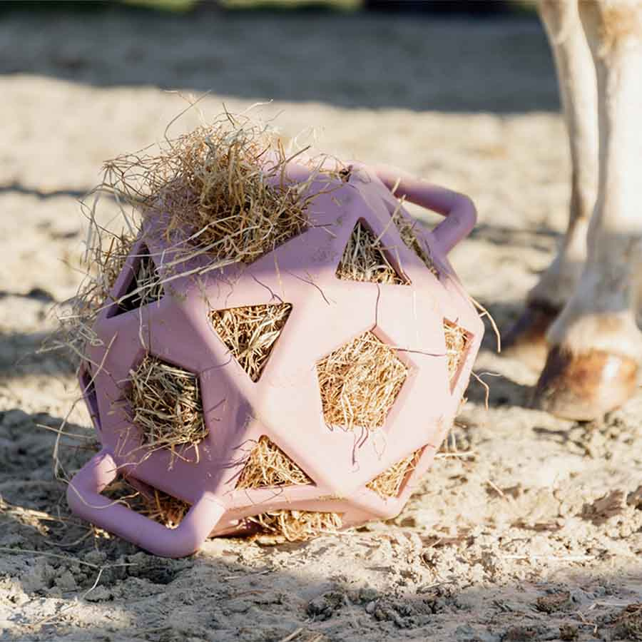Höboll Relax Play & Hay Gammelrosa