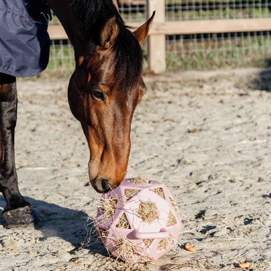 Höboll Relax Play & Hay Gammelrosa