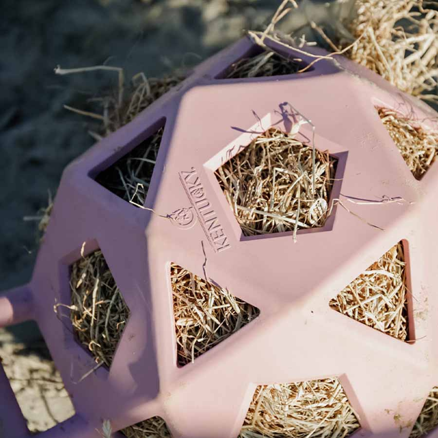 Höboll Relax Play & Hay Gammelrosa