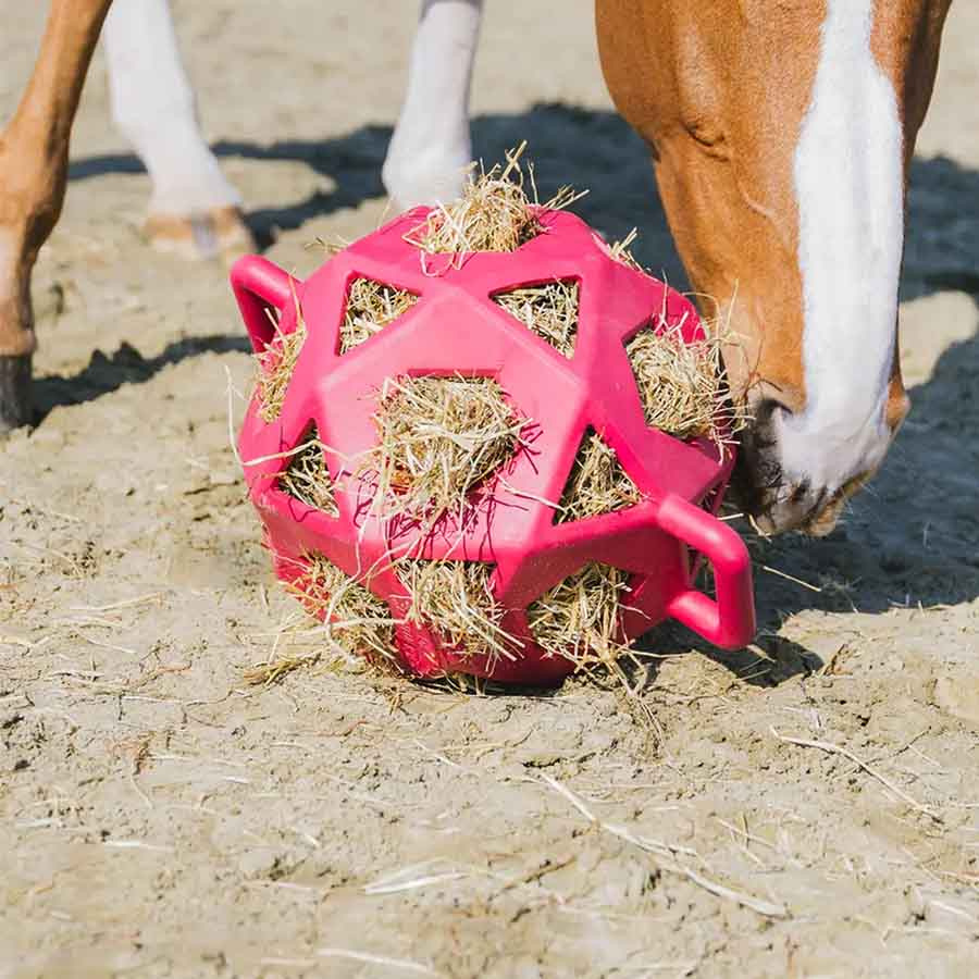 Höboll Relax Play & Hay Rosa