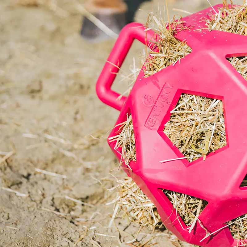 Höboll Relax Play & Hay Rosa