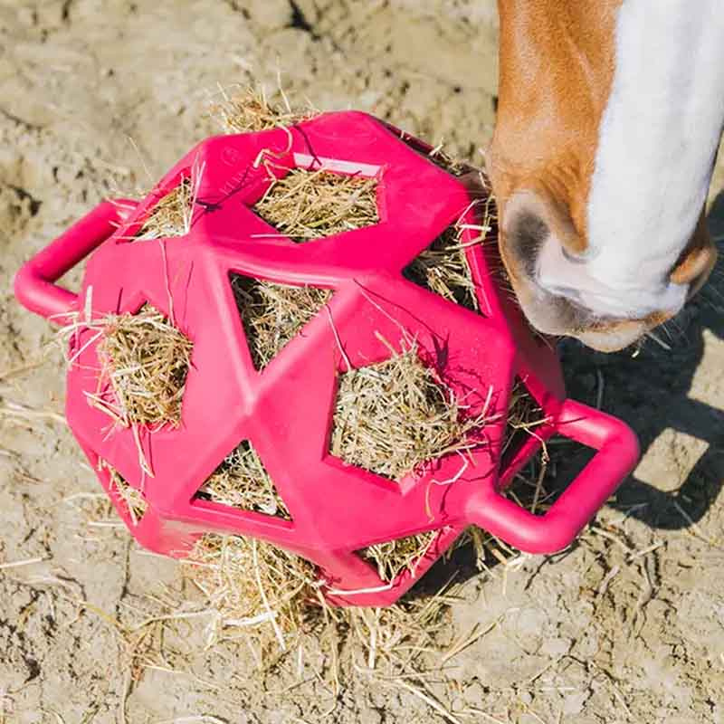 Höboll Relax Play & Hay Rosa