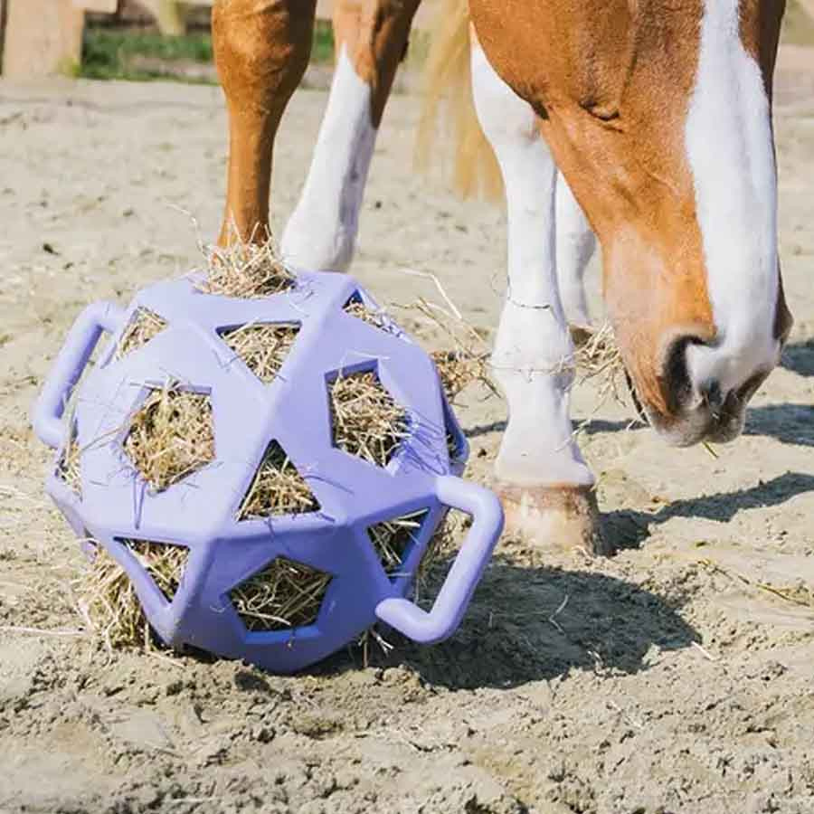 Höboll Relax Play & Hay Lila
