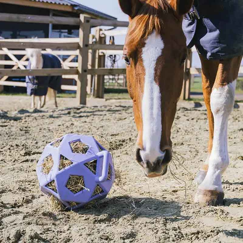 Höboll Relax Play & Hay Lila
