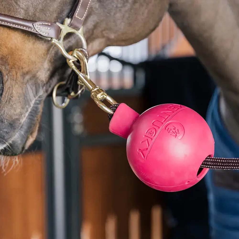 Skyddsboll Lead & Wall Protection Rubber Rosa