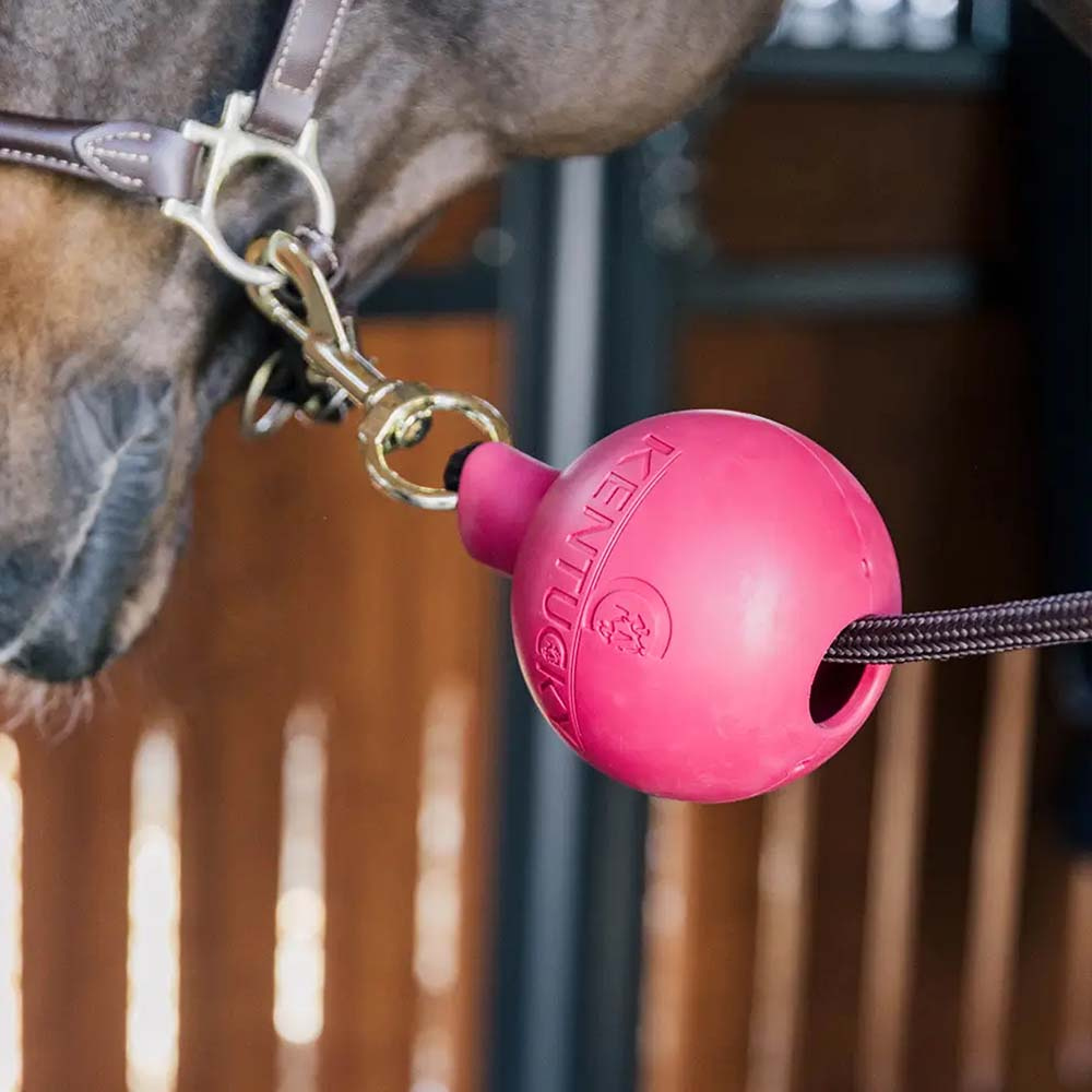 Skyddsboll Lead & Wall Protection Rubber Rosa