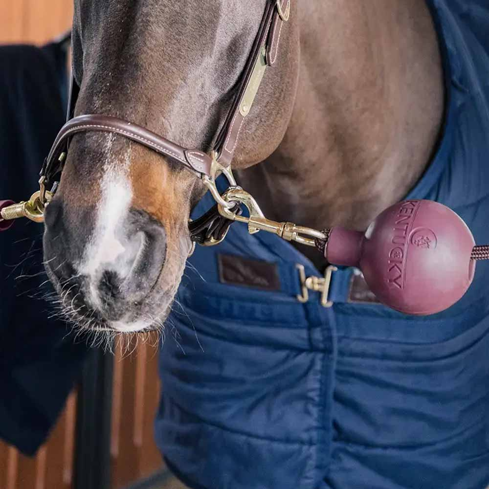 Skyddsboll Lead & Wall Protection Rubber Vinröd