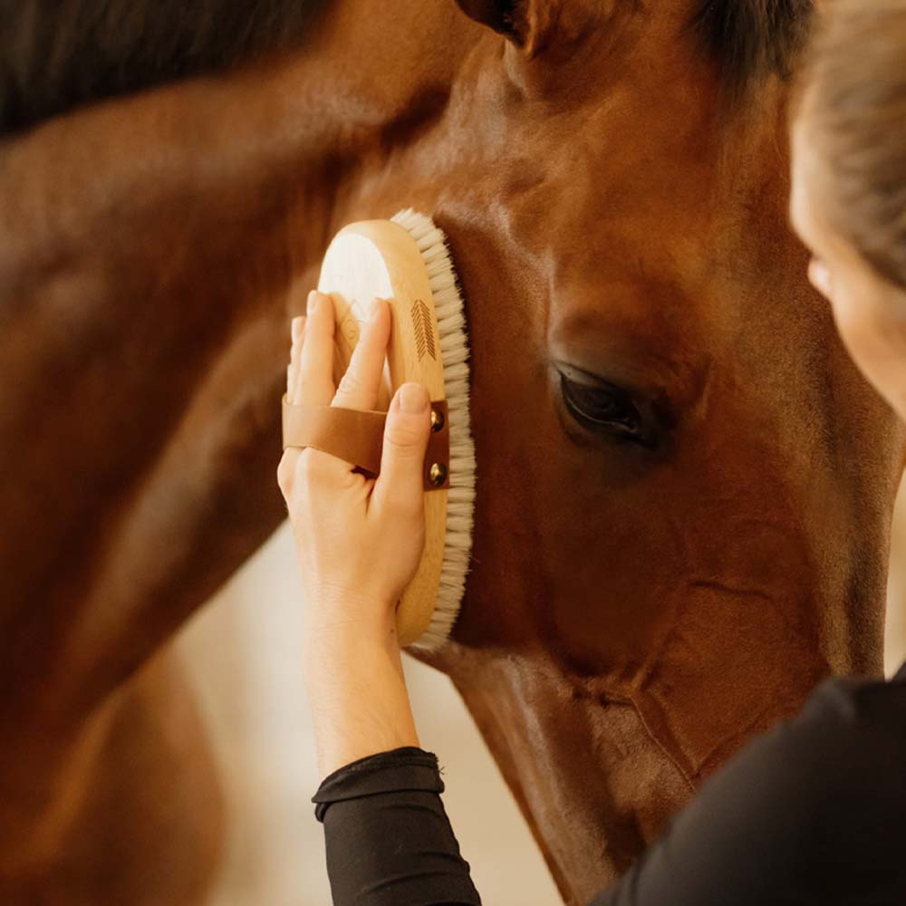 Ryktborste Overall Soft Shine