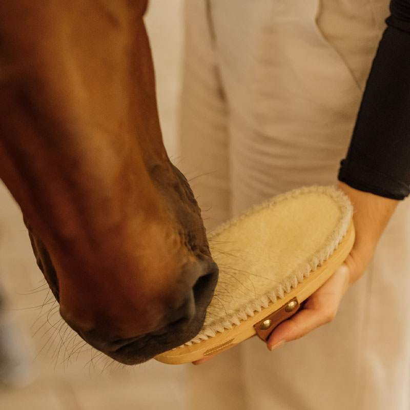 Ryktborste Overall Soft Shine