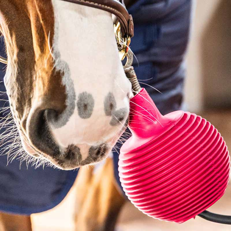 Skyddsboll Lead & Wall Protection Rubber Pro Rosa