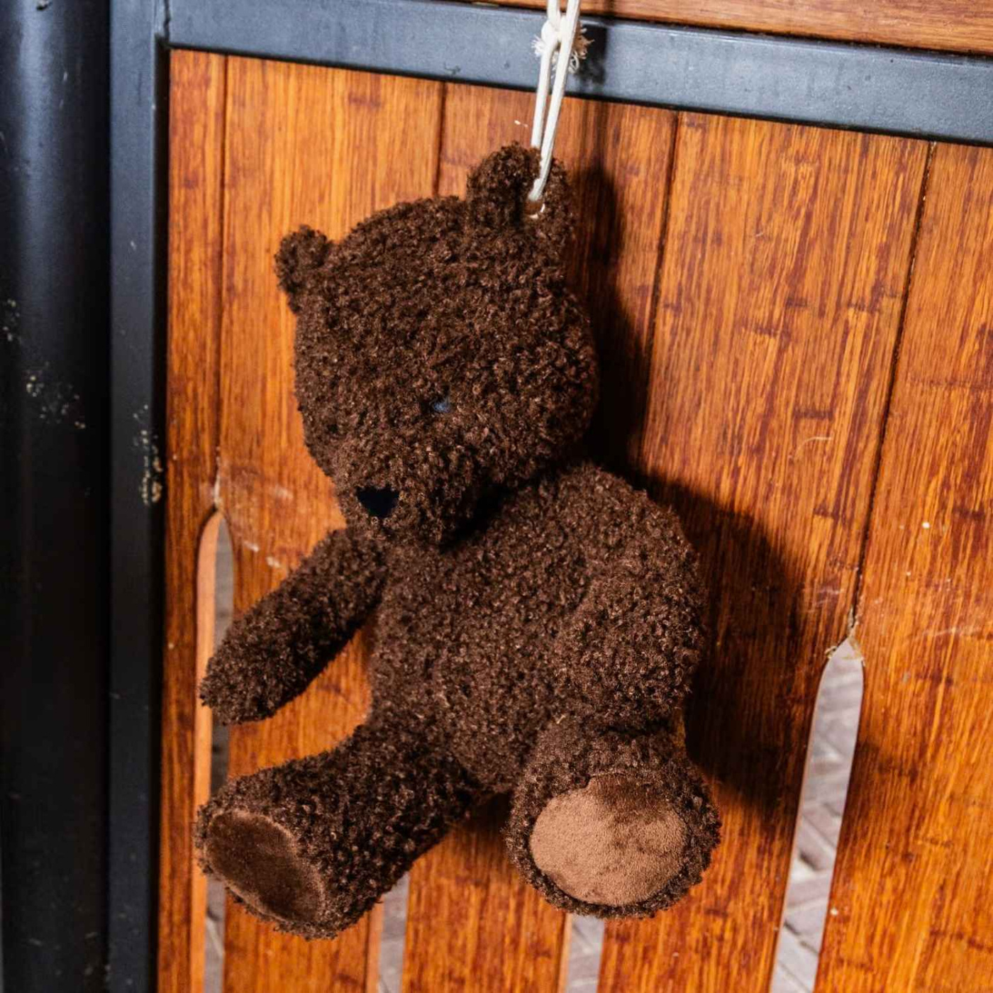 Hästleksak Relax Bear Brun