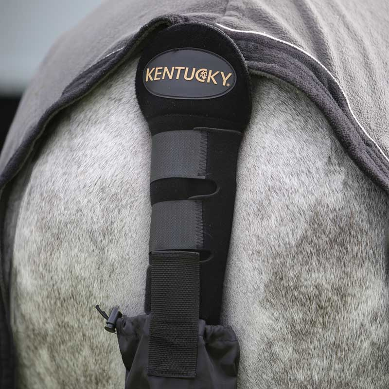 Svansskydd med påse Svart