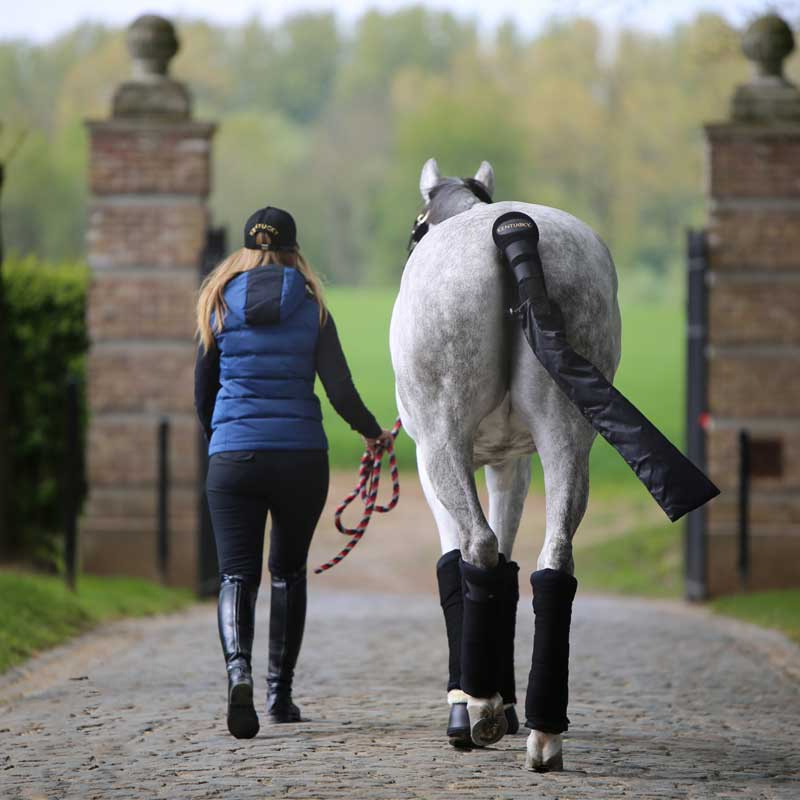 Svansskydd med påse Svart