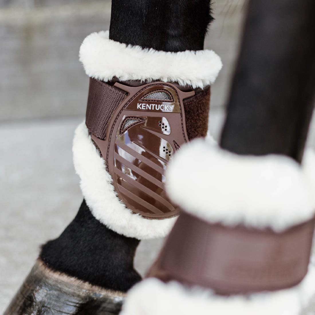 Unghästskydd Sheepskin Shield Brun
