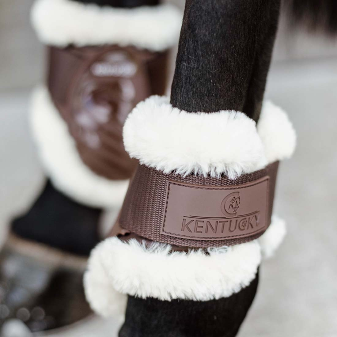 Unghästskydd Sheepskin Shield Brun