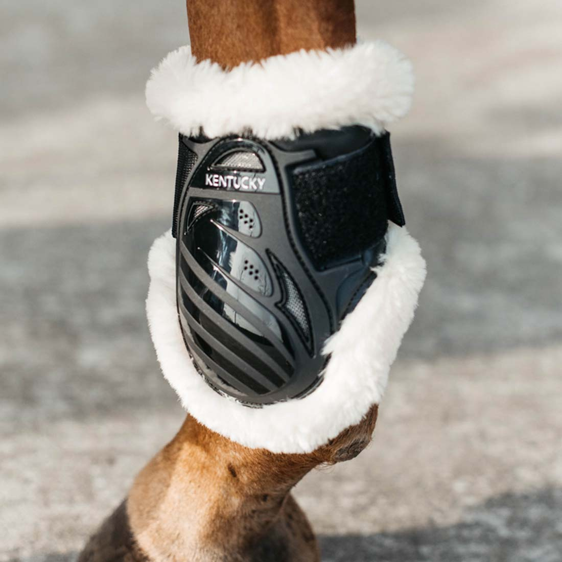 Unghästskydd Sheepskin Shield Svart