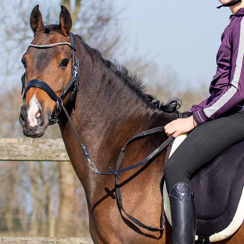 Bettlöst Träns Sunna Svart